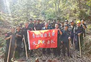 干好每一天|青山掛白我復綠，無私奉獻金森人——資源保護部義務突擊隊工作記實