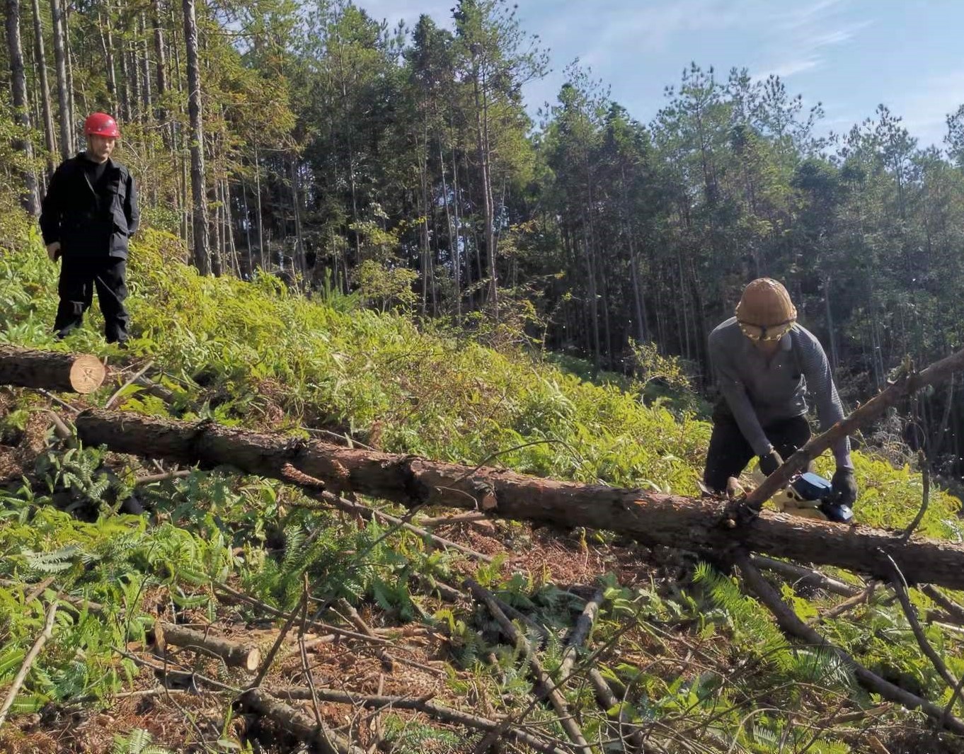 筑牢安全防線,守護一方平安 ——將溪分公司安全生產工作紀實 筑牢安全防線,守護一方平安 ——將溪分公司安全生產工作紀實